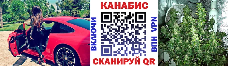 APVP Болгар