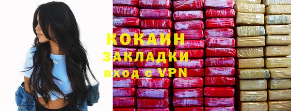 apvp Алексин